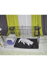 Köpek Kedi Çiti Kafesi 120cmx60cmx48cm I Tip Oyun Eğitim Alanı 8 Parça Panel Çit Siyah ürün fotoğrafı