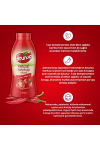Acılı Ketçap 520 gr ürün fotoğrafı