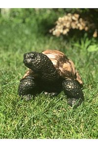 Dekoratif Sevimli Kaplumbağa Bahçe Heykeli ürün fotoğrafı