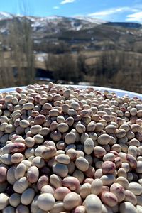 Ispir Fasulyesi - 1 Kg ürün fotoğrafı