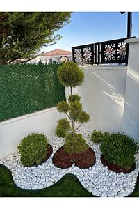 Pratik Garden Çim Ayırıcı 25 M Yeşil Çim Sınırlayıcı Taş Toprak Ayıracı Çim Ayracı Çim Bariyeri ürün fotoğrafı