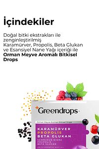 Bitkisel Drops Boğaz Pastili - Orman Meyve Aromalı - Kara Mürver, Propolis, Beta Glukan ürün fotoğrafı