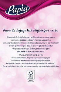 Kağıt Havlu 24 Rulo (12 RULO X 2 PAKET) ürün fotoğrafı