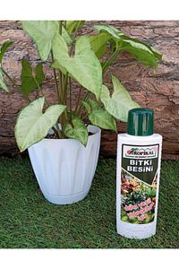 Bitki Besini 3'lü Set Genel Bitki Besini Çiçek Açtıran Yeşil Yapraklı Bitki Vitamini Gübre ürün fotoğrafı