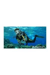 Pulsedive Scuba Dedektör Ve Pointer Ikili Set Sarı Renk ürün fotoğrafı