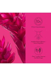 Premium Kalite Etiketi Ünvanına Sahip All or Nothing Amplified EdP Feminen Kadın Parfümü ürün fotoğrafı
