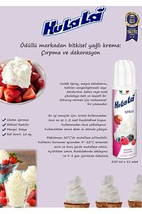 Sprey Krem Şanti 250 gr ürün fotoğrafı