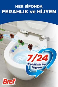 Wc Power Aktiv Duopack Katı Tuvalet Bloğu 3 Çam 2 Okyanus, 5 X 2'li Paket ürün fotoğrafı