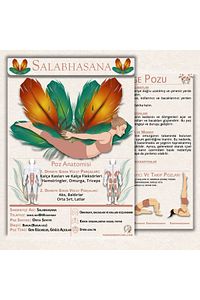 130 Kartlık Yoga Anatomisi 4'lü Set 1 Set Içinde 4 Dev Set Yoga Akışları Diş Sitrin Taşı Hediyeli ürün fotoğrafı