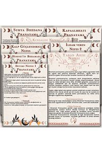130 Kartlık Yoga Anatomisi 4'lü Set 1 Set Içinde 4 Dev Set Yoga Akışları Diş Sitrin Taşı Hediyeli ürün fotoğrafı