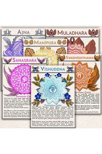 130 Kartlık Yoga Anatomisi 4'lü Set 1 Set Içinde 4 Dev Set Yoga Akışları Diş Sitrin Taşı Hediyeli ürün fotoğrafı