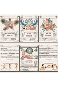 130 Kartlık Yoga Anatomisi 4'lü Set 1 Set Içinde 4 Dev Set Yoga Akışları Diş Sitrin Taşı Hediyeli ürün fotoğrafı