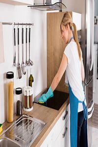 Cam, Seramik, Inox Ocak Temizleyici, Yağ Ve Kireç Çözücü 250 ml ürün fotoğrafı