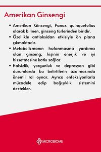 Ginseng Complex Kore, Sibirya, Amerikan Ginsengi, L-arjinin Ve Ginkgo Biloba Kompleks 30 Kapsül ürün fotoğrafı