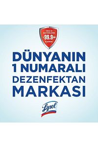 Pratik Yüzey Temizleyici, Koku Giderici, Dezenfektan Sprey Temizliği Esintisi 400 ml ürün fotoğrafı