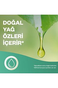 Elektrikli Oda Kokusu Yedek Şişe Bahar Çiçekleri - Esansiyel Yağlar Içerir* ürün fotoğrafı