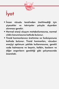 Ferro Plus Lipozomal Demir, Çinko, İyot 150 ml Çocuklar ve Yetişkinler İçin Takviye Demir Şurup ürün fotoğrafı