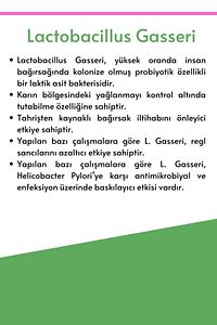 Lactobacillus Gasseri 30 Kapsül ürün fotoğrafı