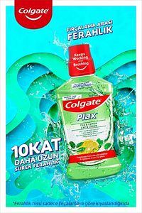 Plax Çay Ve Limon Plağa Karşı Ağız Bakım Suyu 500 ml X 2 Adet ürün fotoğrafı