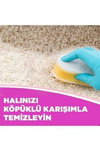 Kosla Halı Şampuanı Elde Yıkama 2x850 ml ürün fotoğrafı