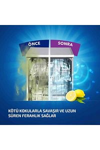 2'li Limon Bulaşık Makinesi Kokusu ürün fotoğrafı