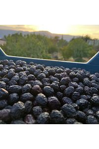 Az Tuzlu Siyah Zeytin Net:3 Kg ürün fotoğrafı