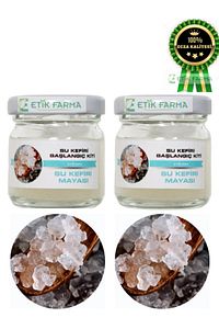 Özel Üretim Organik Su Kefir Mayası 2 Adet [ Canlı Kefir Taneleri ] ürün fotoğrafı