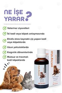 Kedi Ve Köpek Için %100 Doğal Sakinleştirici,relax, Rahatlatıcı, Antistres Şurup 50 ml ürün fotoğrafı