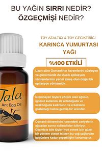 Karınca Yumurtası Yağı 6 Adet ürün fotoğrafı