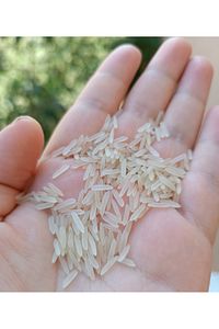 Has Premium Basmati Pirinç 5 Kg Kokusuz Gulitensiz (HİNT IRAN BASMATİ PİRİNCİ) ürün fotoğrafı