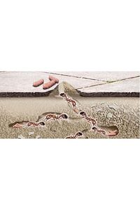 Karınca Toz Habitro (80 GR) Granül Halinde ürün fotoğrafı