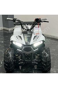 110 cc off-road ATV ürün fotoğrafı