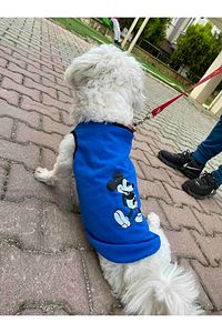 Yeni Sezon Köpek Ve Kedi Kıyafeti - Mavi Mickey Mouse ürün fotoğrafı