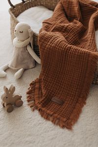 Tarçın Muslin 4 Katlı Müslin Battaniye Bebek Müslin Çocuk Müslin 110x110cm ürün fotoğrafı