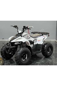 110 cc off-road ATV ürün fotoğrafı