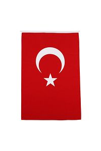 Türk Bayrağı Alpaka Kumaş 100x150cm. ürün fotoğrafı