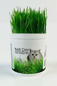 %100 Doğal Kedi Çimi (tüy Yumağı Önleyici) ürün fotoğrafı