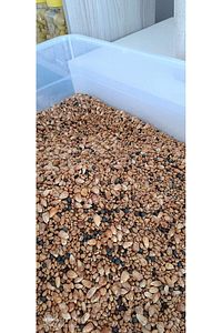 Karışık Kavurga 1 Kğ (BULGUR KAVURGASI,MENENGİC, YAĞLI MISIR, KENEVİR) ürün fotoğrafı