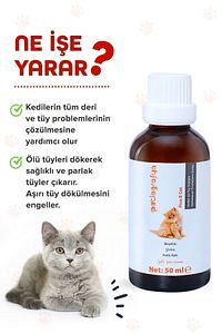 Plus B Kediler Için Tüy Dökümünü Azaltan, Besleyen Tüy Sağlığı Damlası Kedi Tüy Döküm Önleyici 50 ml ürün fotoğrafı