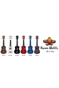 Hk-21 Soprano Ukulele / 5 Renk Seçeneği Taşıma Çantalı Pena Askı Method ürün fotoğrafı