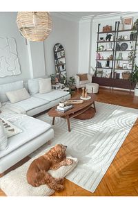 Quincey Bukleli Yumuşak Peluş Post Shaggy Krem Çocuk Odası Oturma Odası Salon Mutfak Halısı ürün fotoğrafı