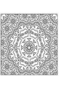 Mandala Boyama Görkemli Desenler ürün fotoğrafı
