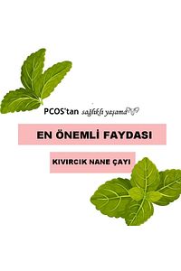 Kıvırcık Nane Çayı Spearmint Tea 45 g 30 Süzen Poşet ürün fotoğrafı