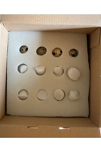 Kuluçkalık Bıldırcın Yumurtası 5 Paket 60 Adet ( Özel Kutuda Güvenli Kargo) ürün fotoğrafı