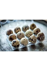 Kuluçkalık Bıldırcın Yumurtası 5 Paket 60 Adet ( Özel Kutuda Güvenli Kargo) ürün fotoğrafı