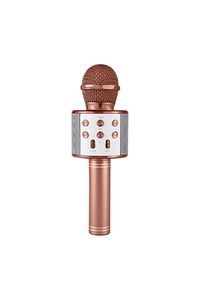 Lera Accessories Karaoke Mikrofon ürün fotoğrafı