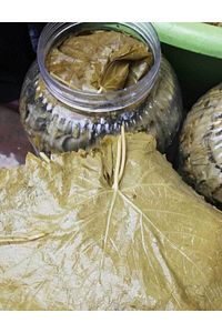 Salamura Asma Yaprağı 5 Kg (INCE VE DAMARSIZ) Yeni Mahsül ürün fotoğrafı