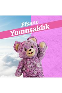 Extra Konsantre Çamaşır Yumuşatıcısı Şakayık 1440 X4 ürün fotoğrafı