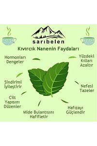 Kıvırcık Nane Çayı Spearmint Tea 45 g 30 Süzen Poşet ürün fotoğrafı