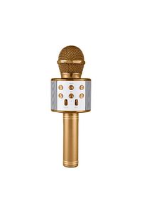 Lera Accessories Karaoke Mikrofon ürün fotoğrafı